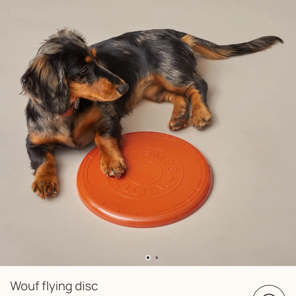 Hermes - Flying Dog Disc